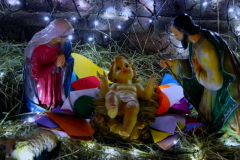 IMG_4187
