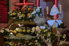 338018807_197608809683530_5876646475210408269_n