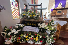 338301766_247116287804030_8552831087325604584_n