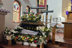 338389872_567516045445277_4993988377099440244_n