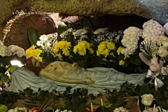 338451165_1246667019287271_56219363979971257_n