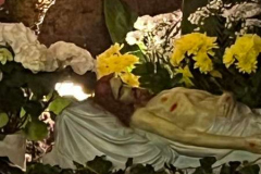 338464759_6119634774772235_4130469648328084676_n